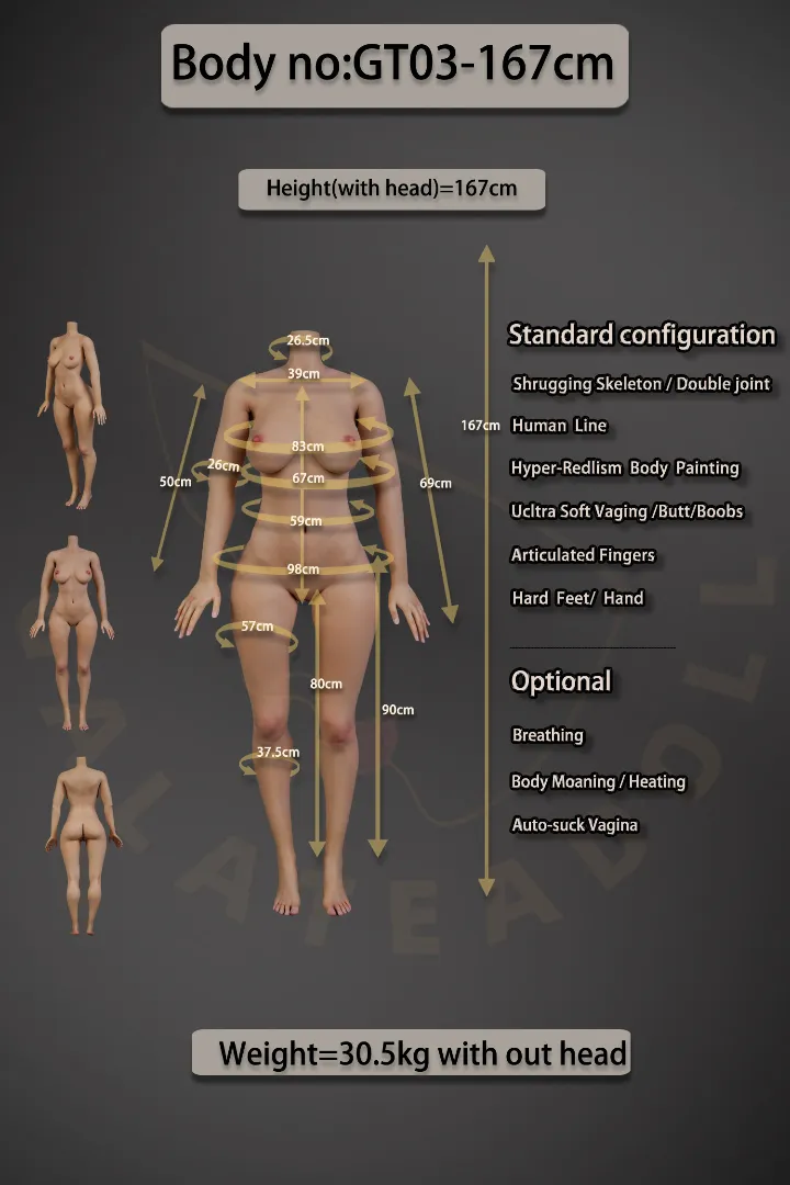 GT03 167 Body Data(Pic)